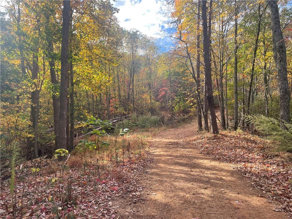 0 Firetower Road Jasper, GA 30143 - Photo 31 of 63 View of mother earth's splendor