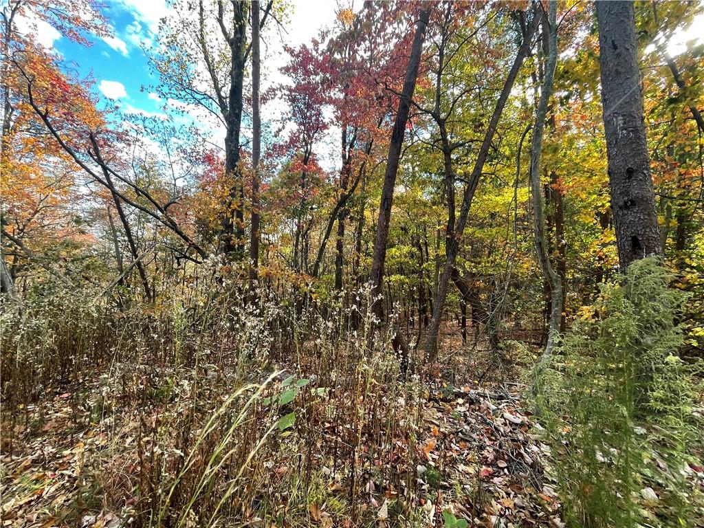 0 Firetower Road Jasper, GA 30143 - Photo 32 of 63 View of local wilderness