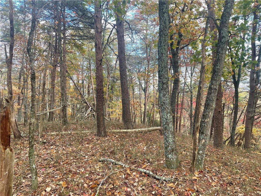 0 Firetower Road Jasper, GA 30143 - Photo 33 of 63 View of mother earth's splendor