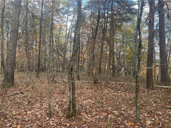 a backyard of a house with lots of trees