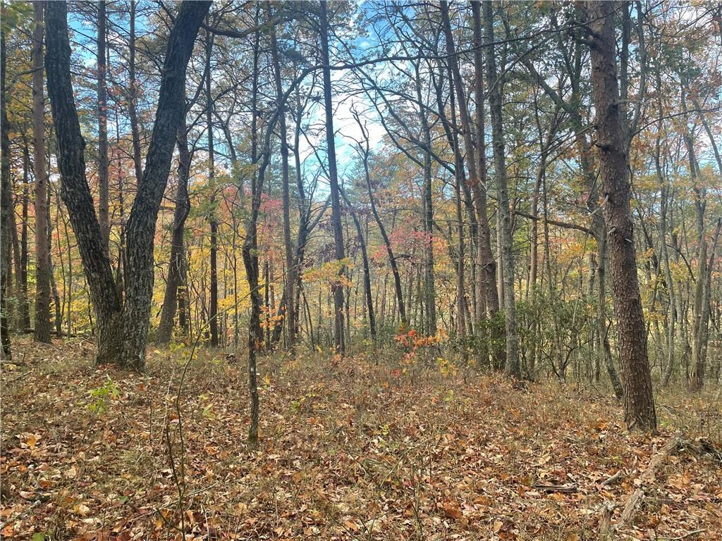 0 Firetower Road Jasper, GA 30143 - Photo 35 of 63 View of mother earth's splendor