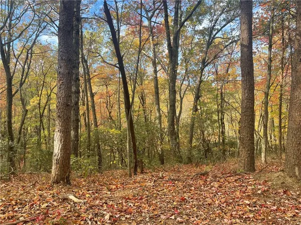 a view of a yard with large trees