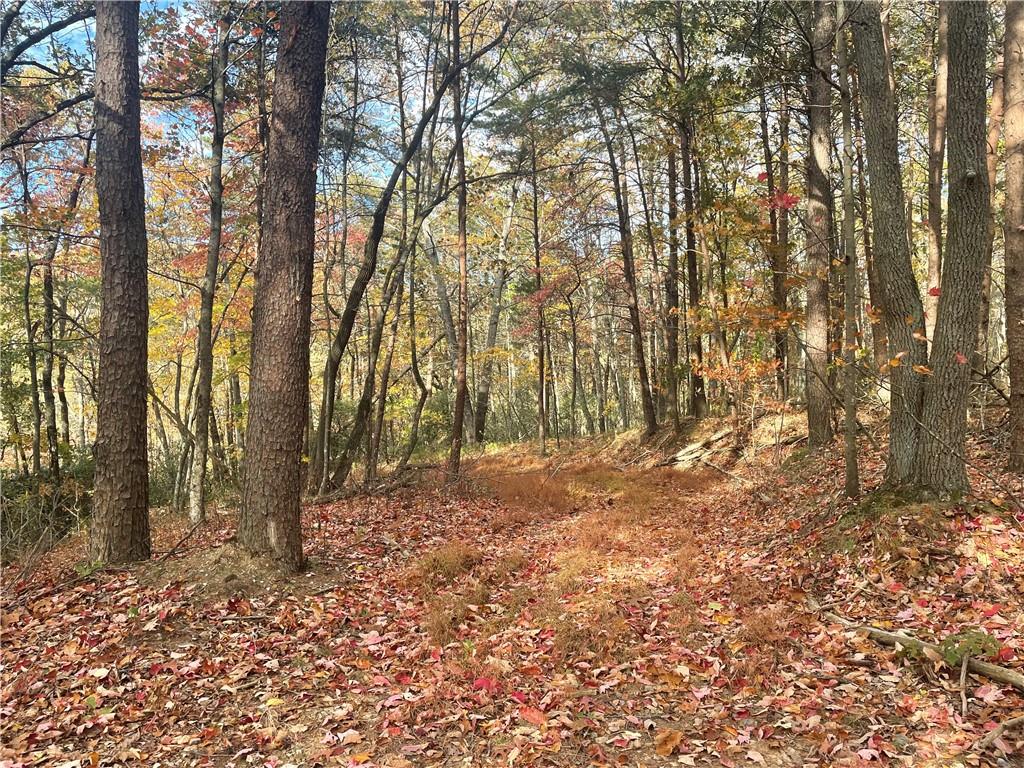 0 Firetower Road Jasper, GA 30143 - Photo 37 of 63 View of mother earth's splendor