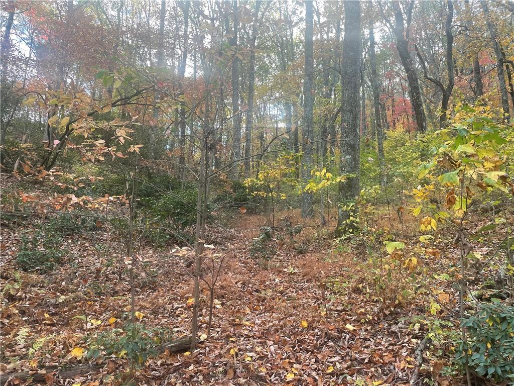 0 Firetower Road Jasper, GA 30143 - Photo 39 of 63 View of local wilderness