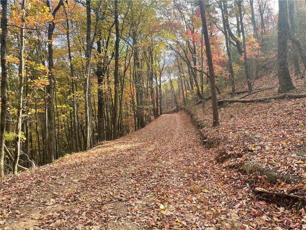0 Firetower Road Jasper, GA 30143 - Photo 41 of 63 View of local wilderness