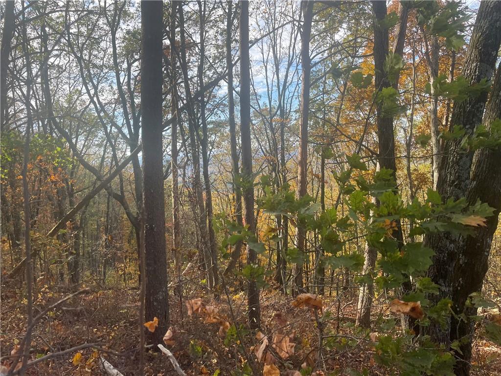 0 Firetower Road Jasper, GA 30143 - Photo 42 of 63 View of mother earth's splendor