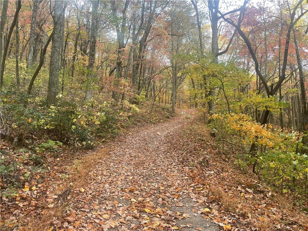 0 Firetower Road Jasper, GA 30143 - Photo 44 of 63 View of street