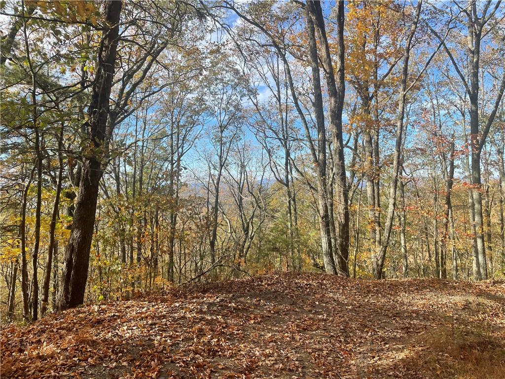 0 Firetower Road Jasper, GA 30143 - Photo 45 of 63 View of nature
