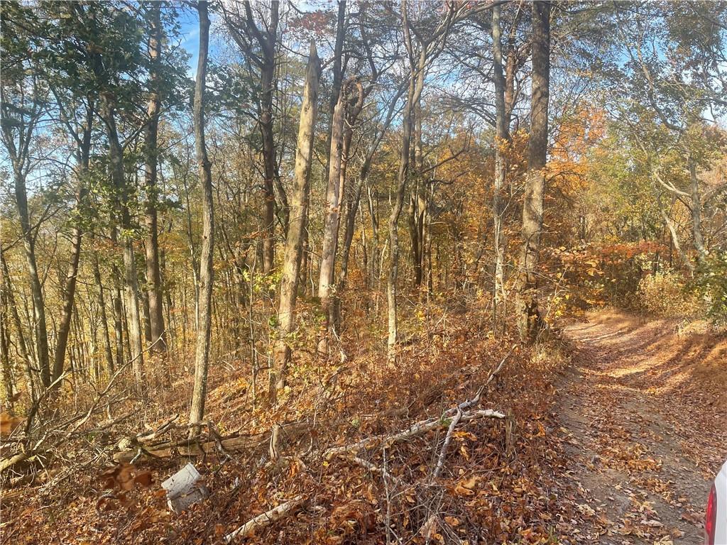 0 Firetower Road Jasper, GA 30143 - Photo 46 of 63 View of mother earth's splendor