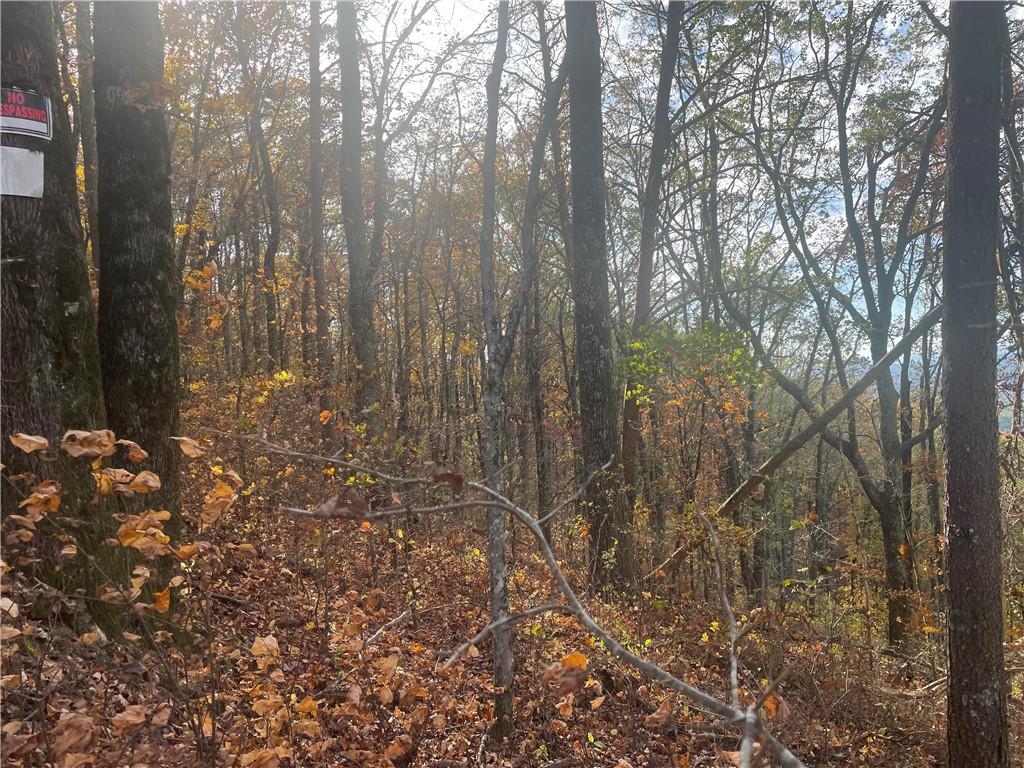 0 Firetower Road Jasper, GA 30143 - Photo 47 of 63 View of local wilderness