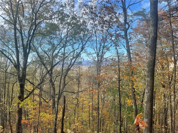 a view of a valley with a mountain in the background