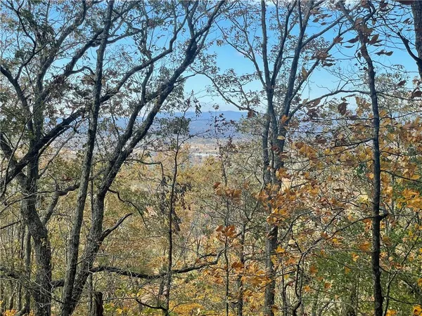 a view of a mountain range