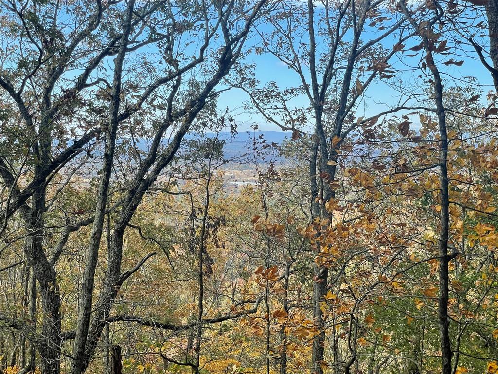 0 Firetower Road Jasper, GA 30143 - Photo 50 of 63 View of local wilderness