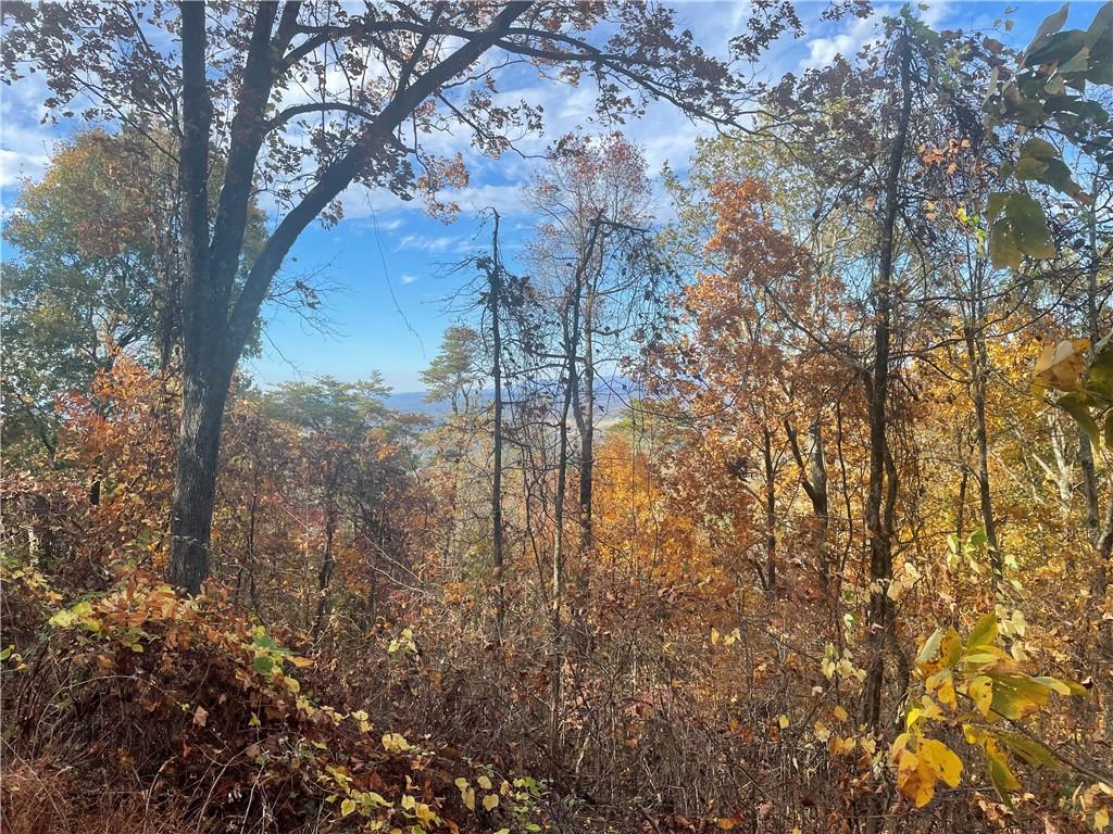 0 Firetower Road Jasper, GA 30143 - Photo 51 of 63 View of local wilderness