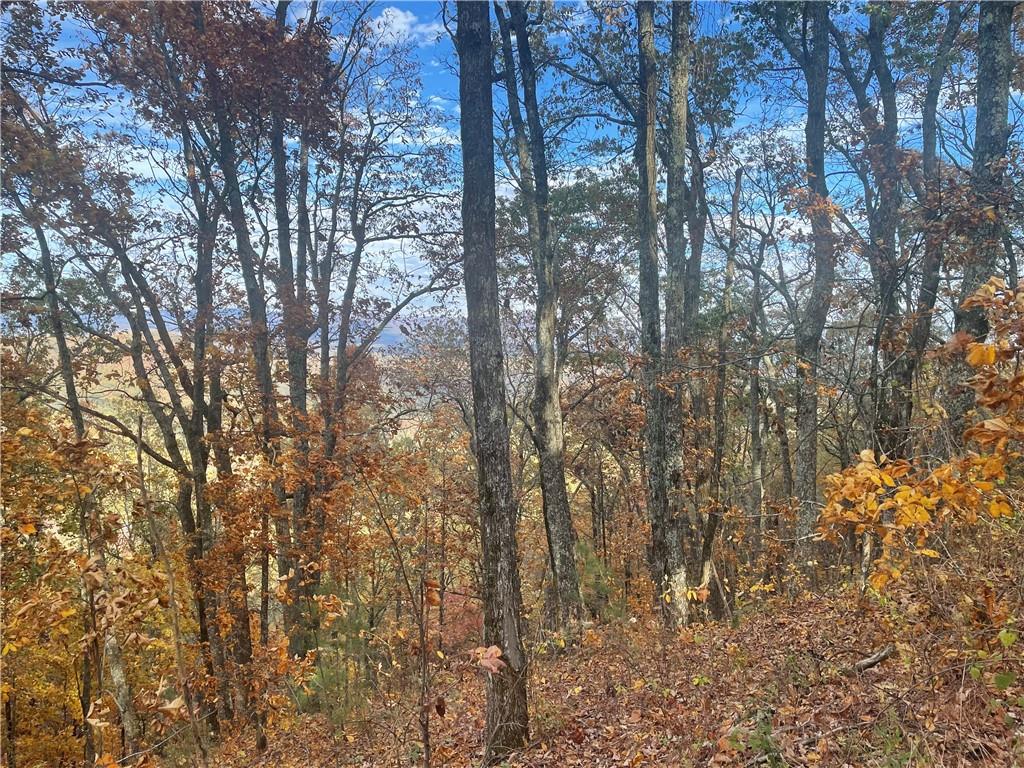 0 Firetower Road Jasper, GA 30143 - Photo 52 of 63 View of mother earth's splendor