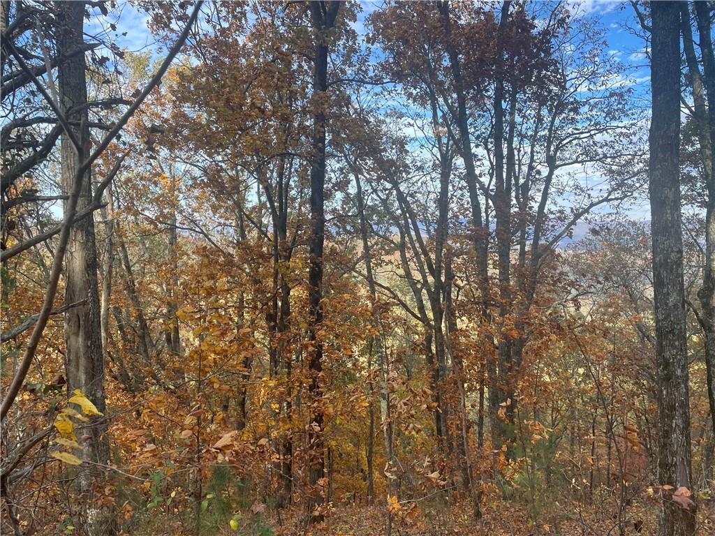 0 Firetower Road Jasper, GA 30143 - Photo 53 of 63 View of nature