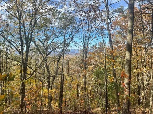 $835,017 | 0 Firetower Road, Jasper, GA 30143