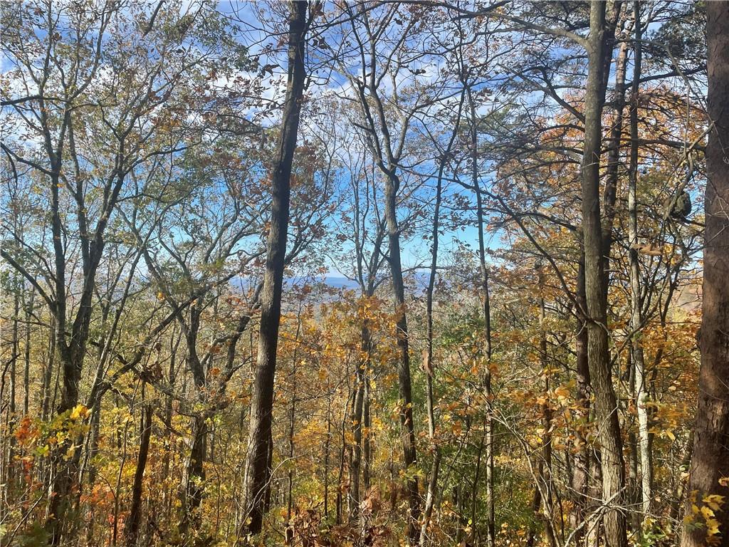 0 Firetower Road Jasper, GA 30143 - Photo 55 of 63