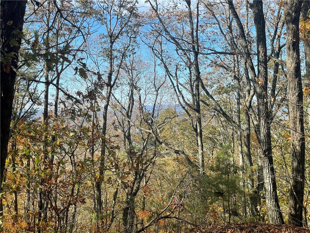 0 Firetower Road Jasper, GA 30143 - Photo 57 of 63 View of nature