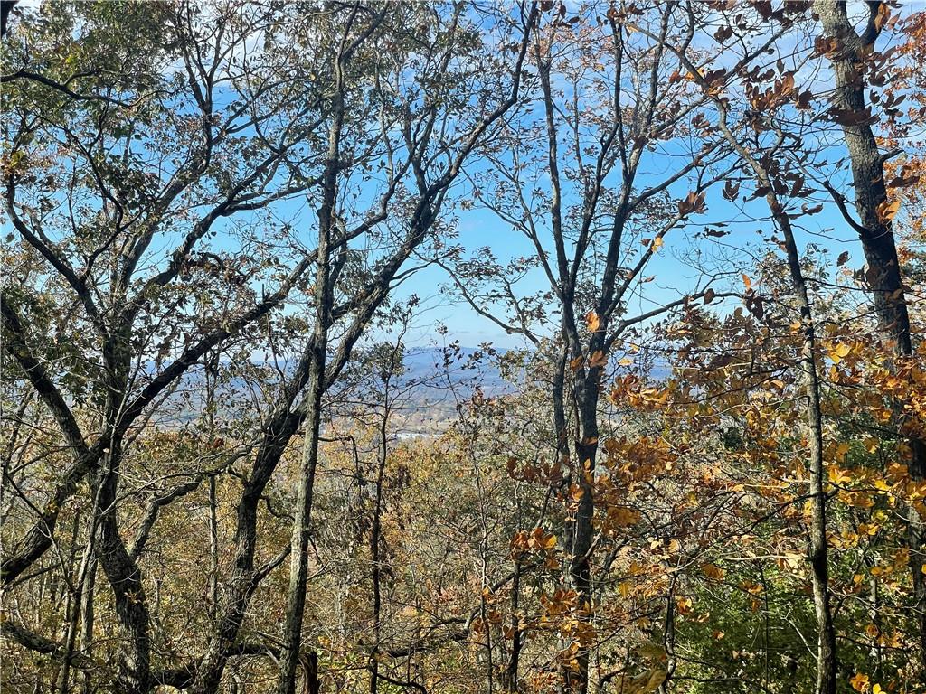 0 Firetower Road Jasper, GA 30143 - Photo 58 of 63 View of local wilderness