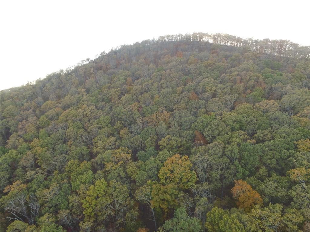 0 Firetower Road Jasper, GA 30143 - Photo 60 of 63 View of bird's eye view