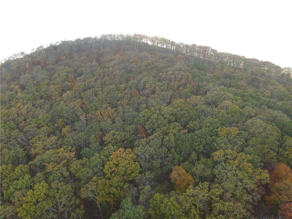 0 Firetower Road Jasper, GA 30143 - Photo 61 of 63 View of birds eye view of property
