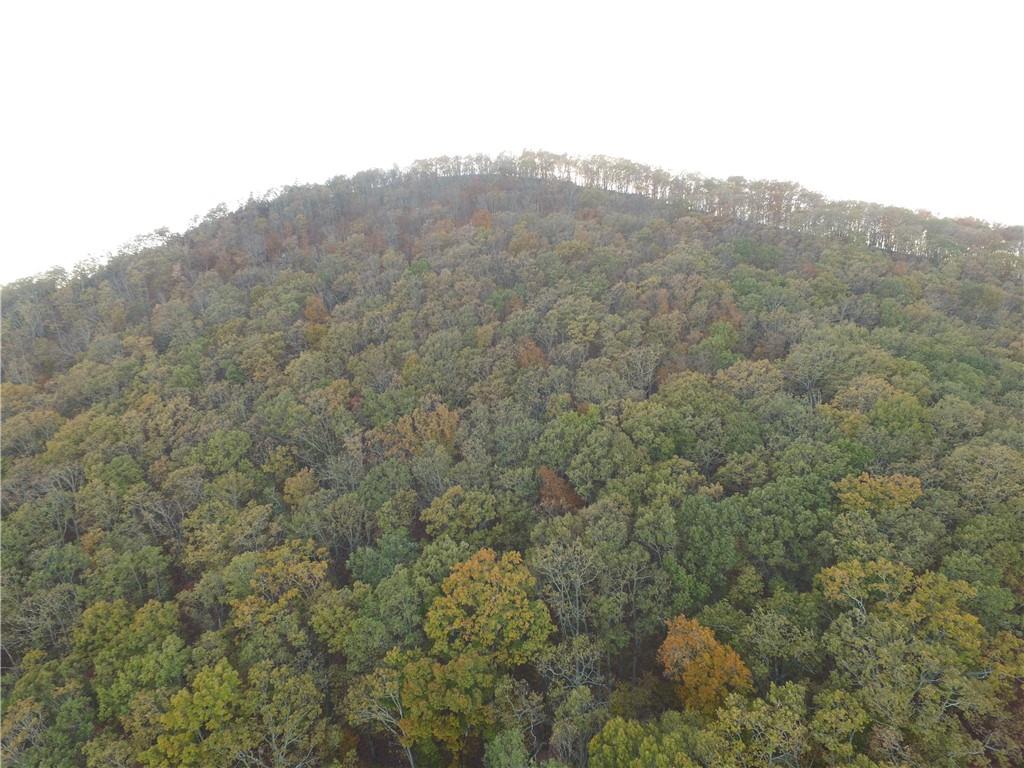 0 Firetower Road Jasper, GA 30143 - Photo 62 of 63 View of birds eye view of property