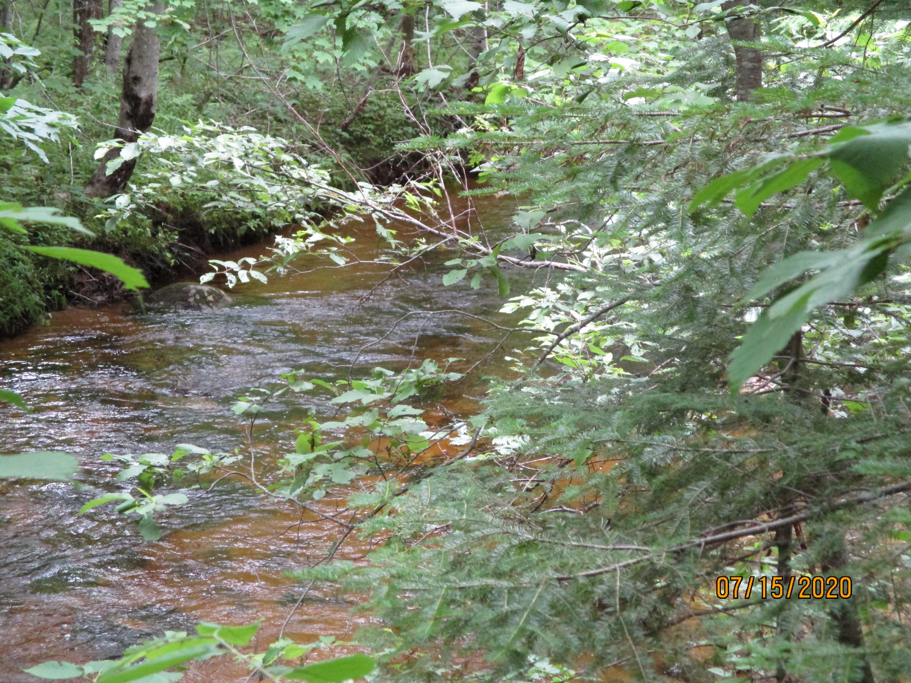 0 Dickvale Road Peru, ME 04290 - Photo 2 of 7 water frontage across road