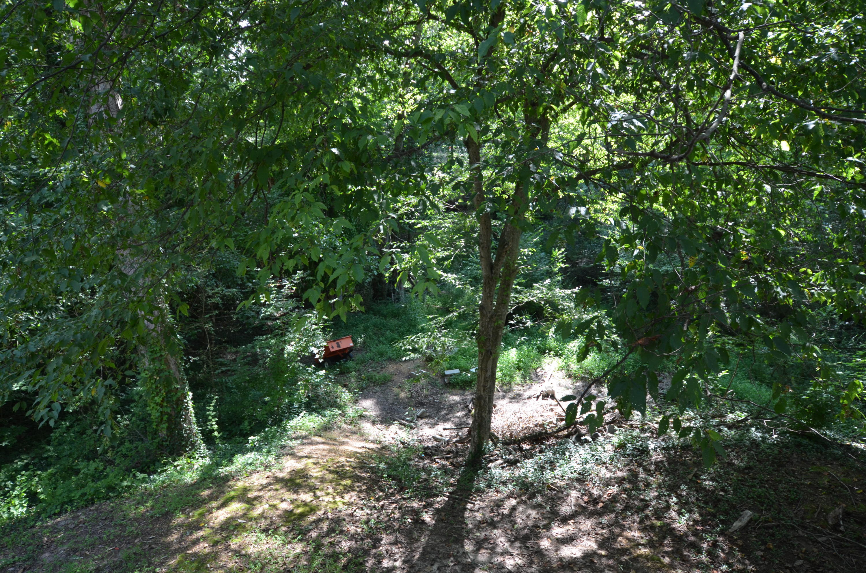 124 Taylor Road Oak Ridge, TN 37830 - Photo 17 of 17 DSC_1063