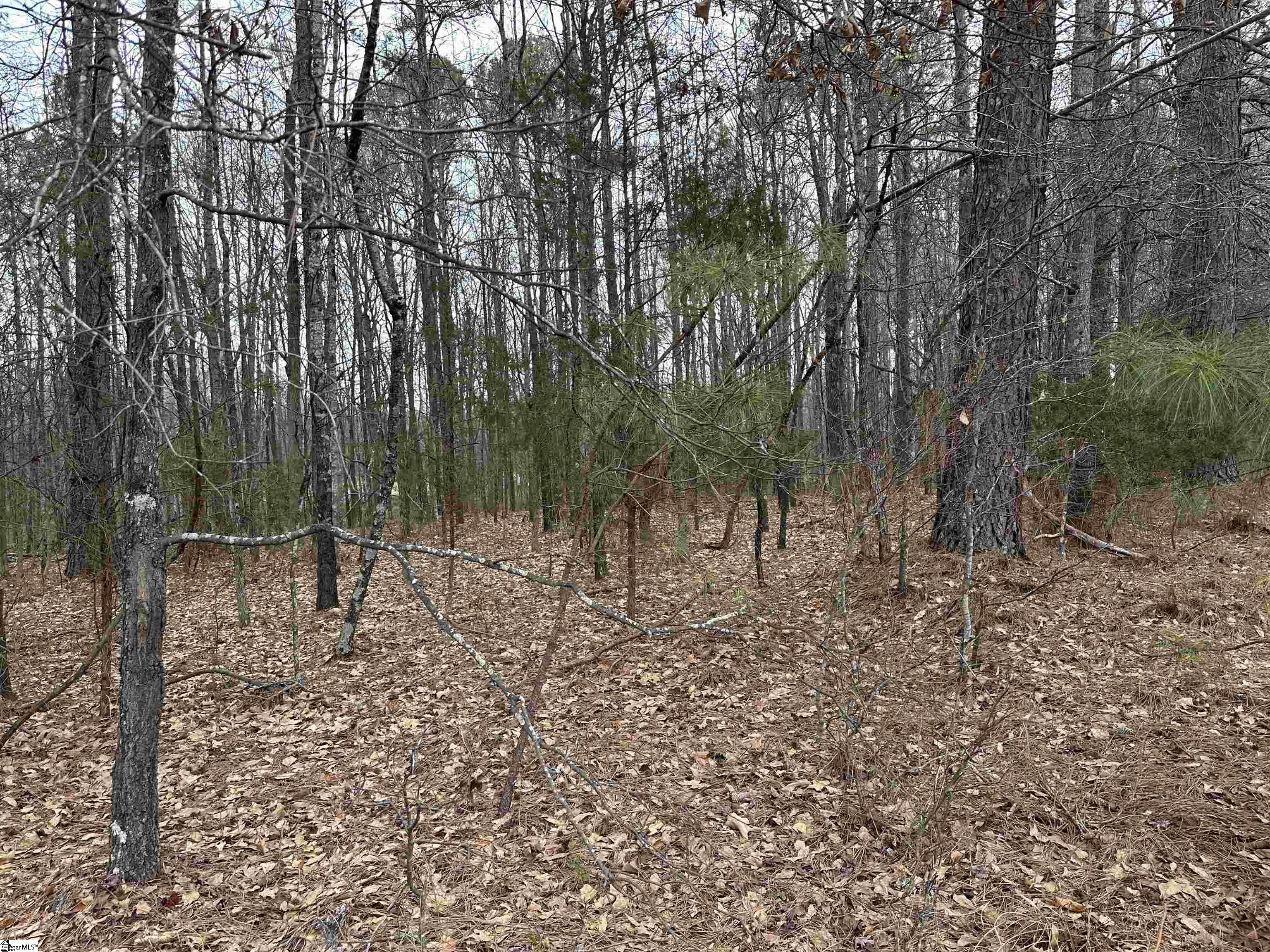 159 Griffin Road Belton, SC 29627 - Photo 17 of 18