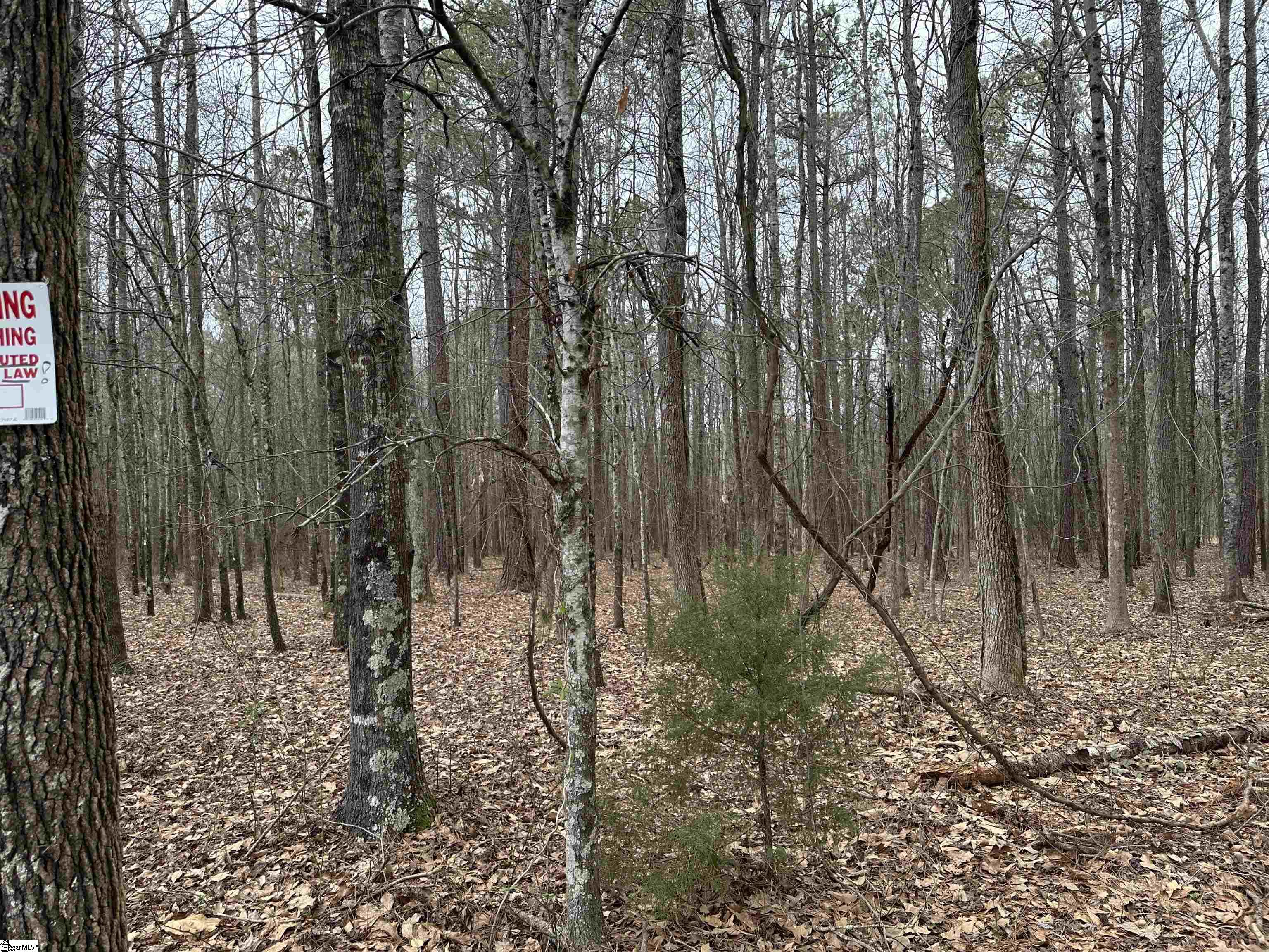 159 Griffin Road Belton, SC 29627 - Photo 18 of 18