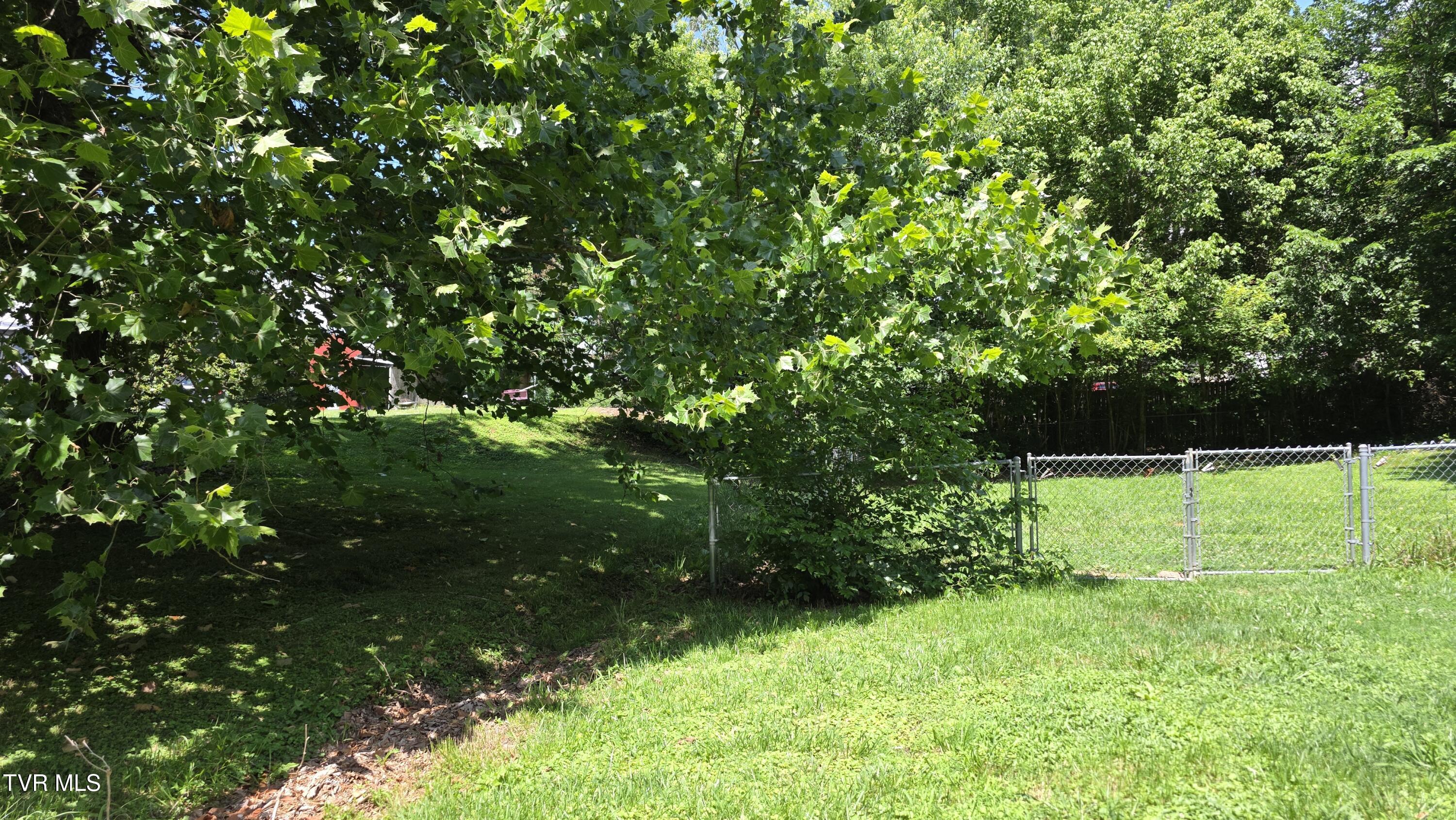 110 Hughes Road Johnson City, TN 37601 - Photo 17 of 19 20260614_145721