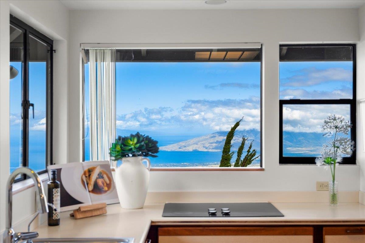 162 Koheo Road Kula, HI 96790 - Photo 19 of 50