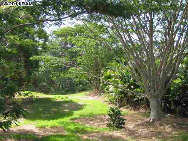 175 Hohani Place Haiku, HI 96708 - Photo 4 of 14 Gallery Image 4