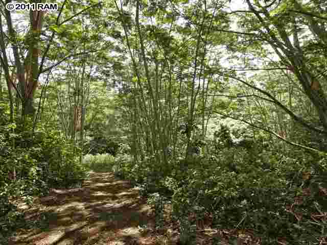 175 Hohani Place Haiku, HI 96708 - Photo 6 of 14 Gallery Image 6