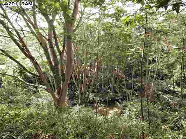 175 Hohani Place Haiku, HI 96708 - Photo 7 of 14 Gallery Image 7