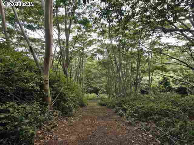 175 Hohani Place Haiku, HI 96708 - Photo 8 of 14 Gallery Image 8