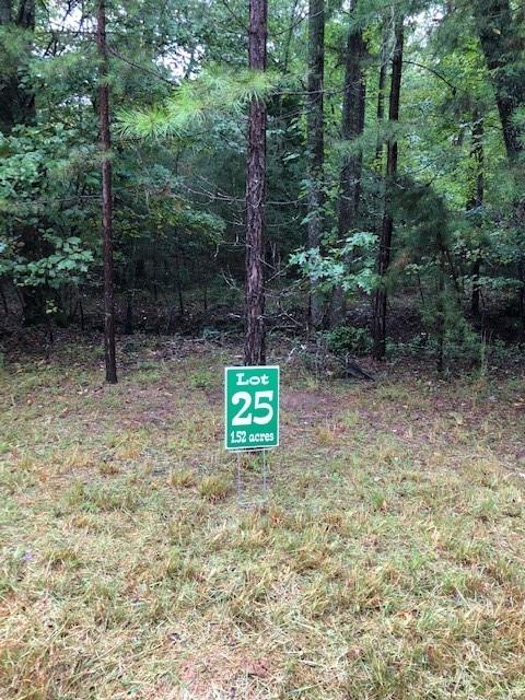 Lot 25 Hunter's Ridge Morganton, GA 30560 - Photo 1 of 1 Gallery Image 1