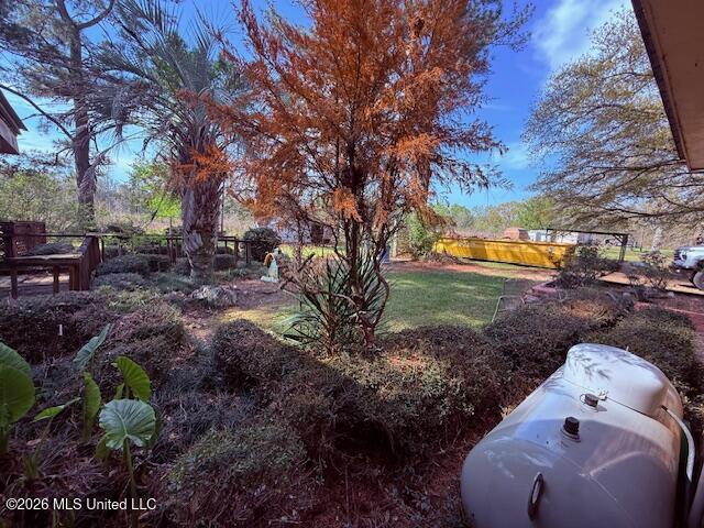 41 Tom Lewis Road Tylertown, MS 39667 - Photo 21 of 33 IMG_3320 - Copy