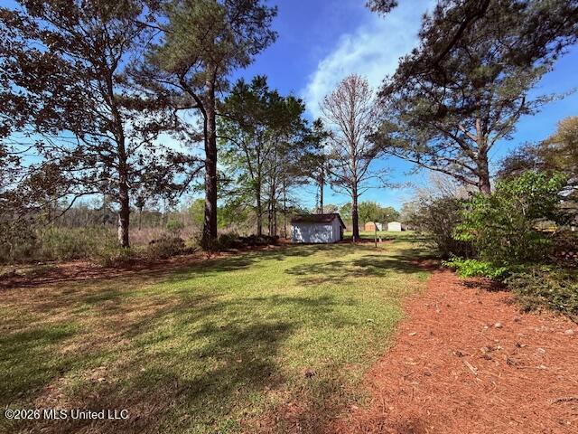 41 Tom Lewis Road Tylertown, MS 39667 - Photo 26 of 33 IMG_3325