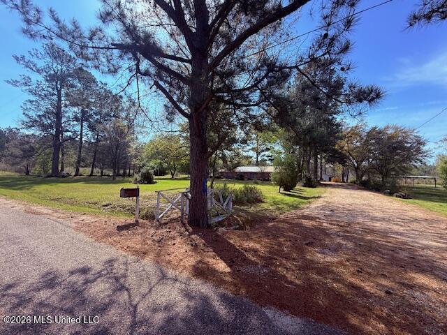 41 Tom Lewis Road Tylertown, MS 39667 - Photo 30 of 33 IMG_3329