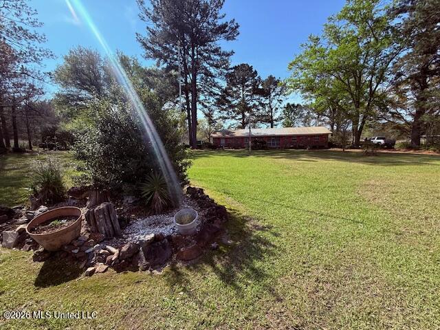 41 Tom Lewis Road Tylertown, MS 39667 - Photo 3 of 33 IMG_3301 - Copy