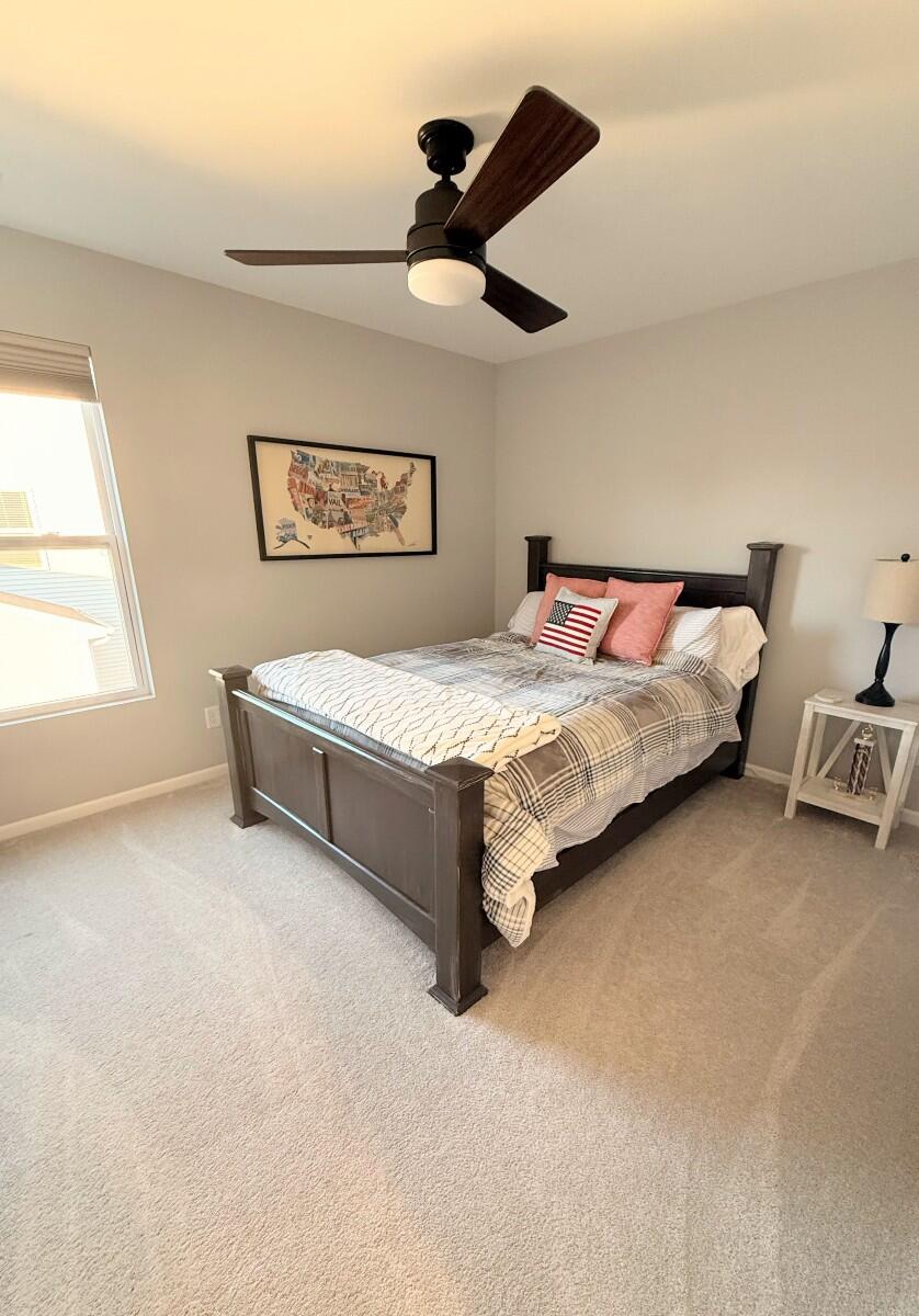 13143 Rutledge Place Crown Point, IN 46307 - Photo 11 of 21 838x1200