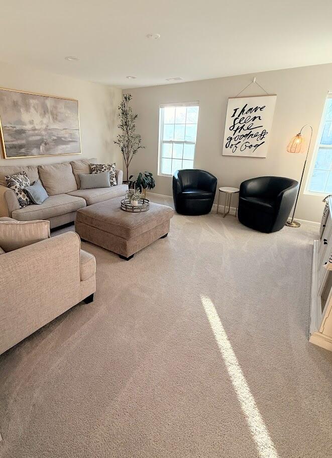 13143 Rutledge Place Crown Point, IN 46307 - Photo 15 of 21 661x911