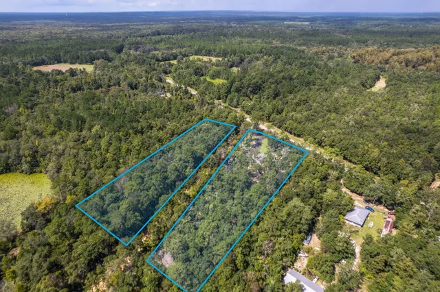 $320,000 | 4454 Shell Landing Road, Vernon, FL 32462