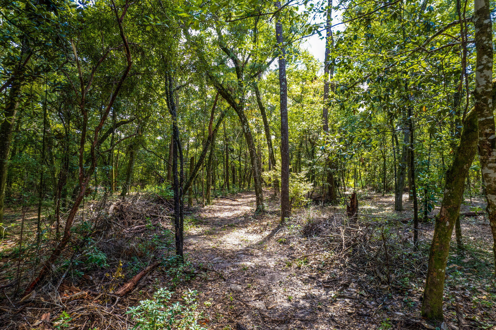 4454 Shell Landing Road Vernon, FL 32462 - Photo 46 of 48 4454 Shell Landing Rd-Vernon-59