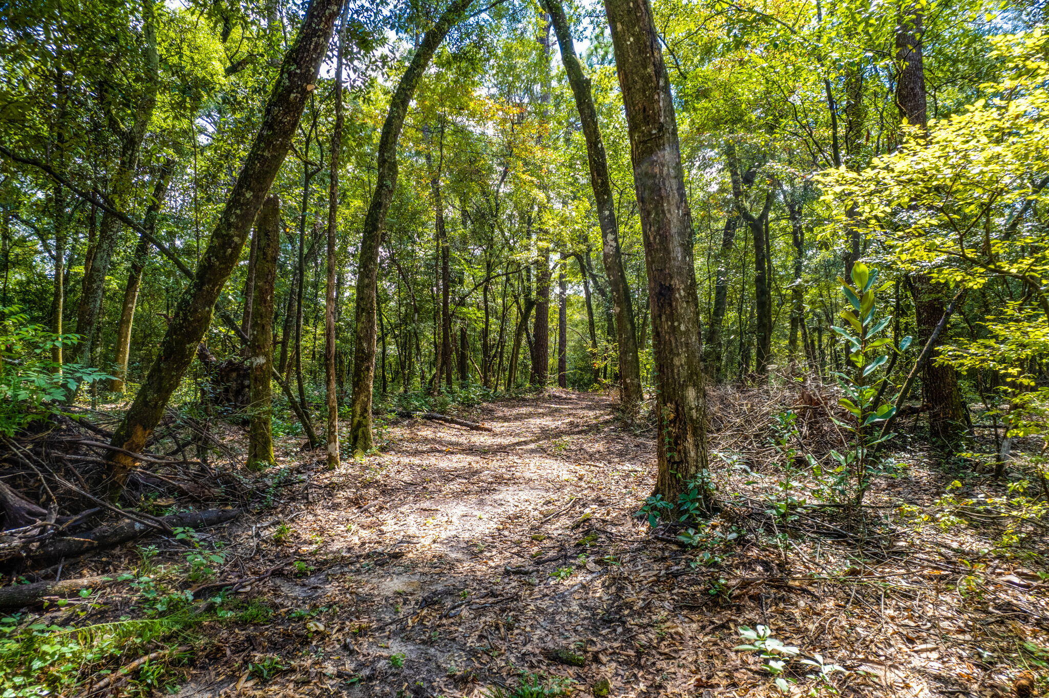 4454 Shell Landing Road Vernon, FL 32462 - Photo 47 of 48 4454 Shell Landing Rd-Vernon-60