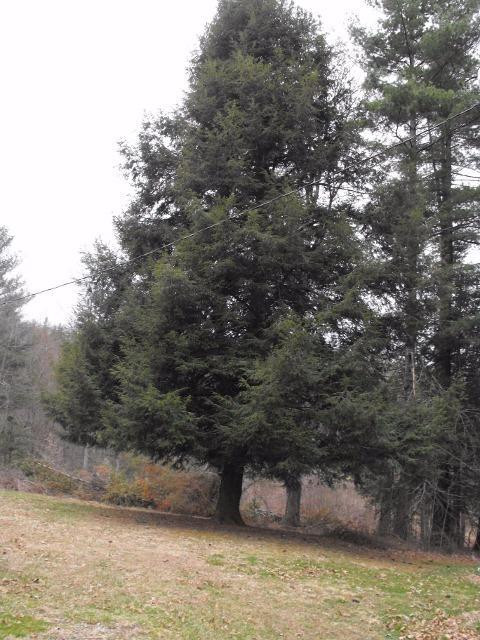 2527 Quillen Chapel Road Campton, KY 41301 - Photo 9 of 31 Photo 9