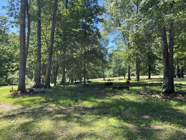 362 Cullen Savage Road Palmer, TN 37365 - Photo 16 of 76 IMG_7154