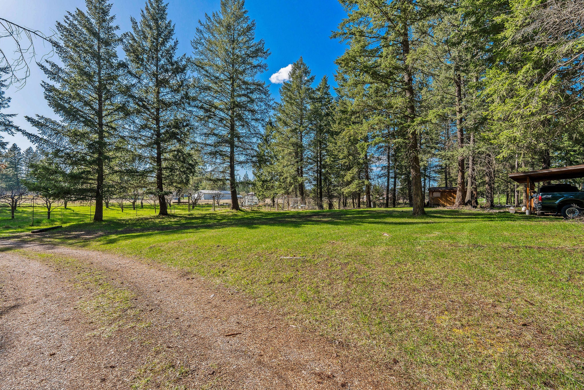 701 McCaffery Road Bigfork, MT 59911 - Photo 39 of 65 Gallery Image 39